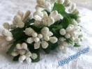 Незабудки БІЛІ, пучок (12 гілочок)