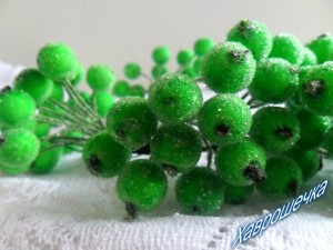 Калина цукрова ЗЕЛЕНА